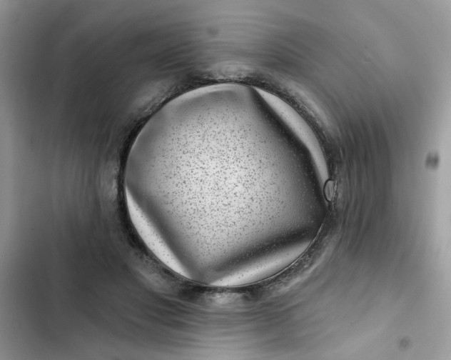 X0000102350501200808151754