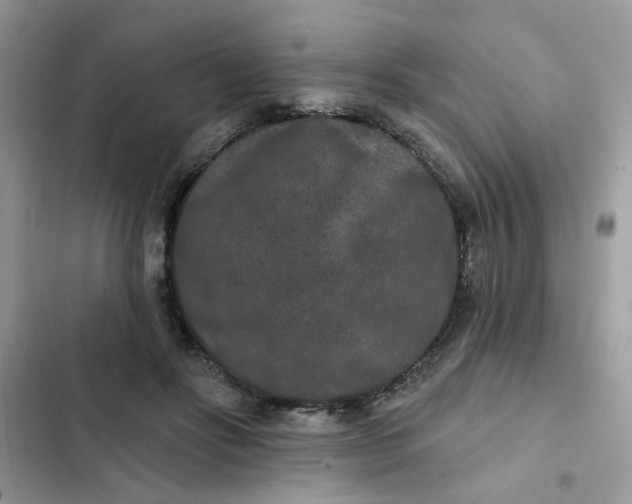 X0000102350502200808151754