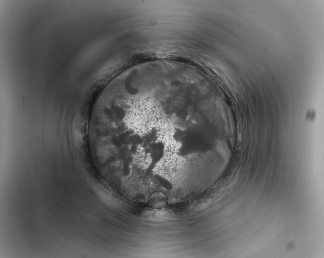 X0000102350503200808151754