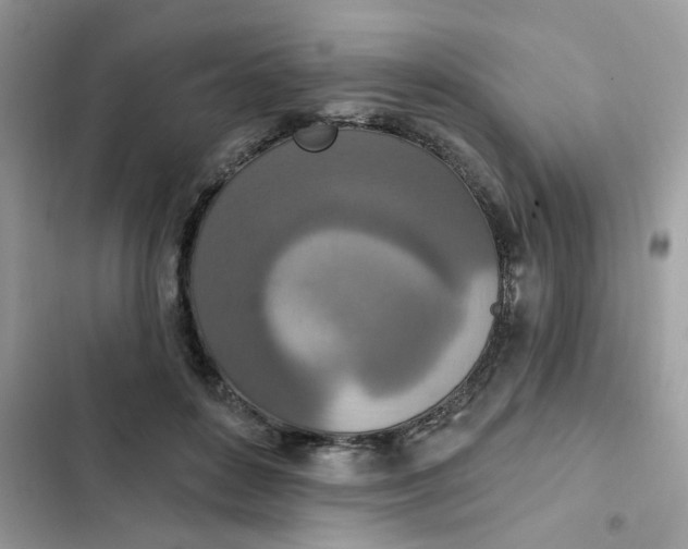 X0000102350504200808151754