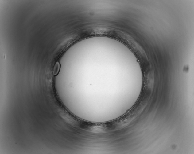 X0000102350505200808151754