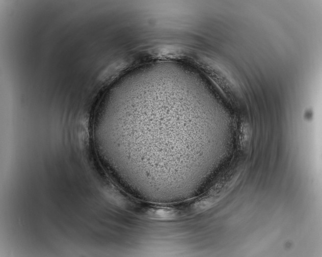 X0000102350506200808151754