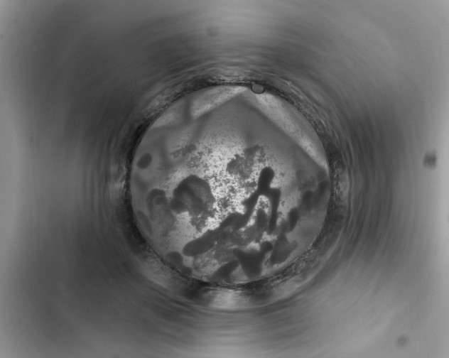 X0000102350507200808151754