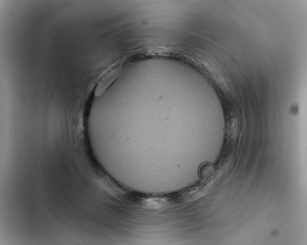 X0000102350508200808151754