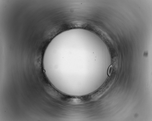 X0000102350509200808151754