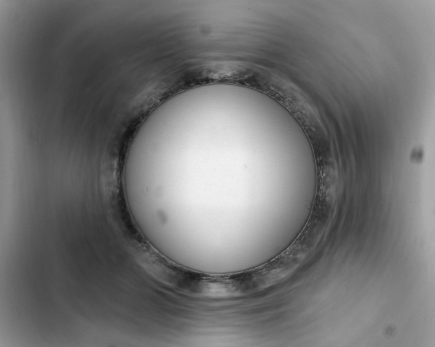 X0000102350510200808151754