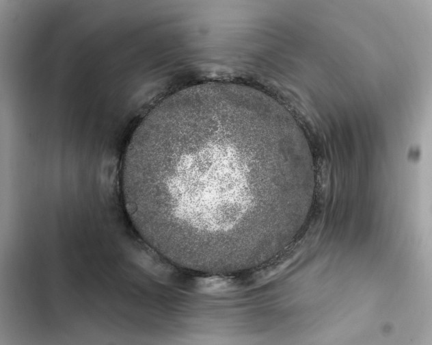 X0000102350511200808151753