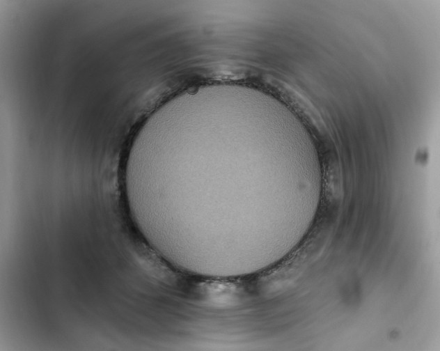 X0000102350512200808151753