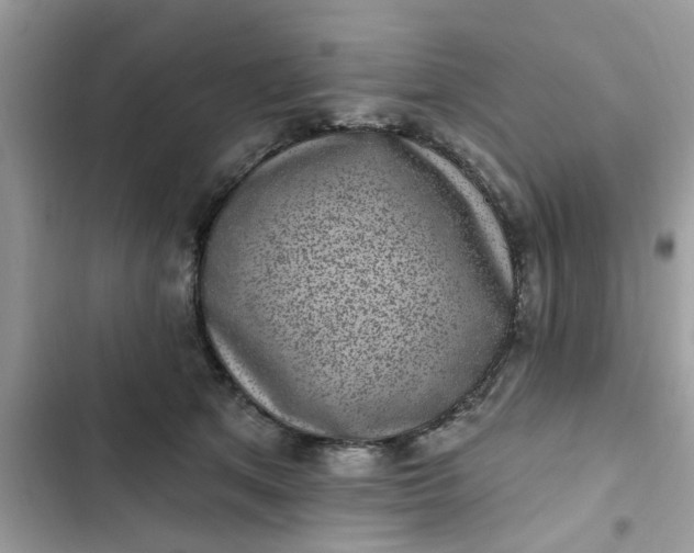 X0000102350513200808151753