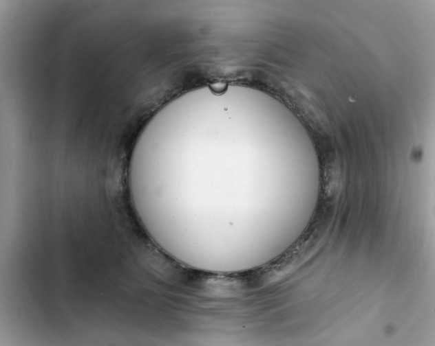 X0000102350515200808151753