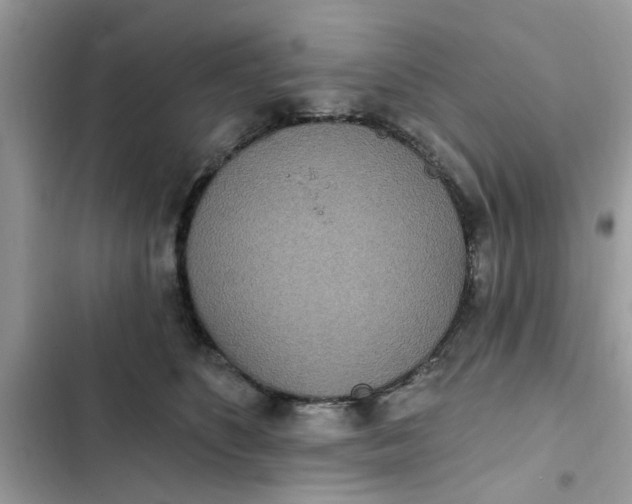 X0000102350516200808151753