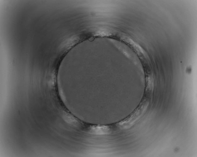 X0000102350517200808151753