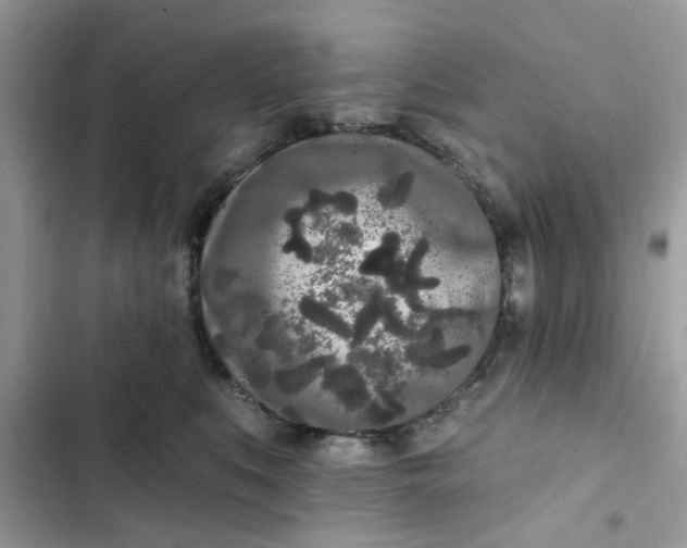 X0000102350519200808151753