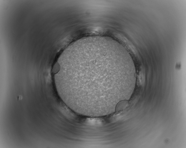 X0000102350520200808151753