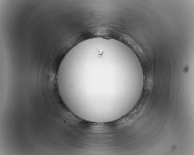 X0000102350521200808151753