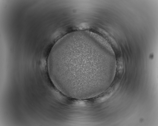 X0000102350523200808151753