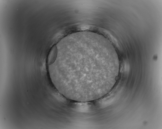 X0000102350524200808151753