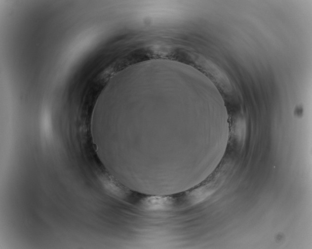 X0000102350526200808151753