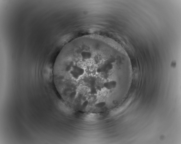 X0000102350527200808151753