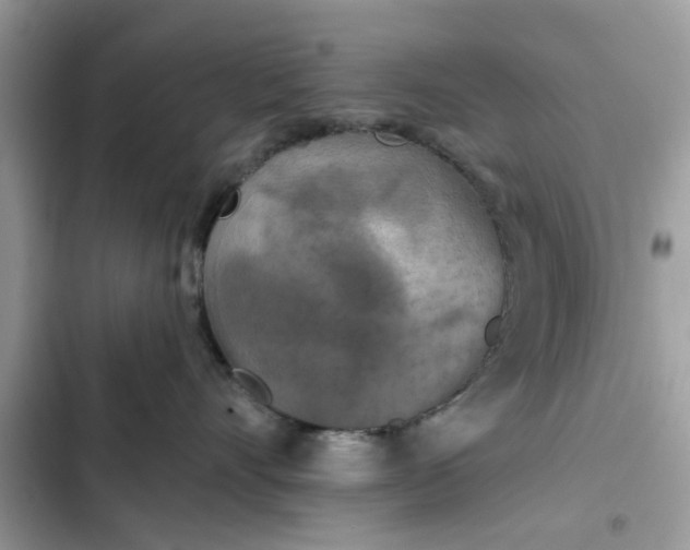 X0000102350528200808151753