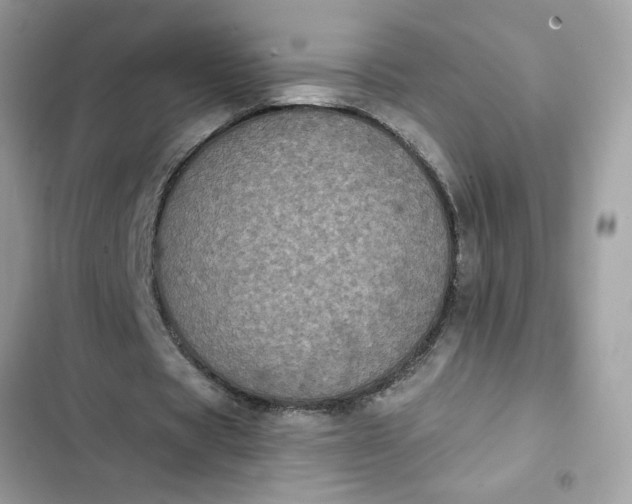 X0000102350529200808151752