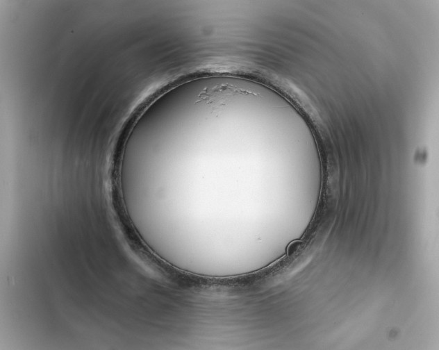 X0000102350530200808151752