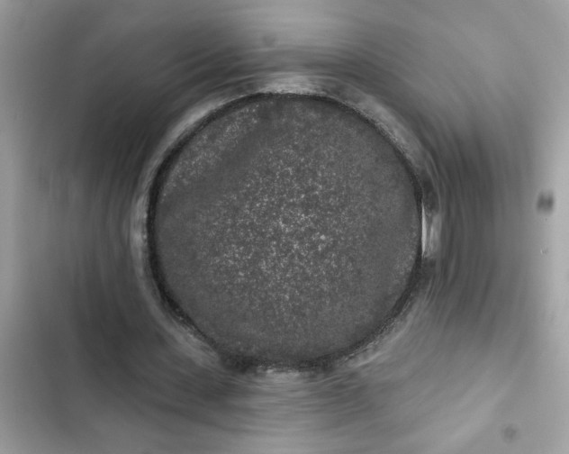 X0000102350531200808151752