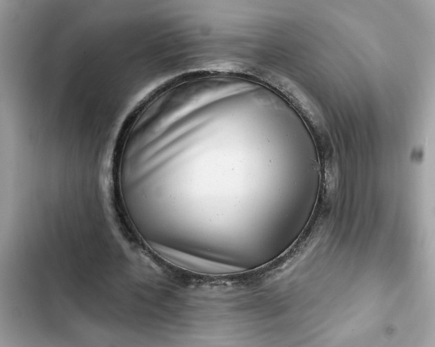 X0000102350532200808151752