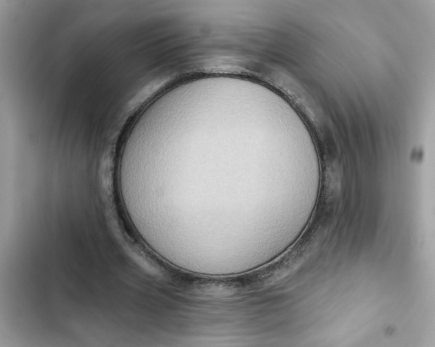 X0000102350533200808151752