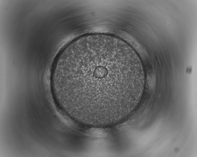 X0000102350534200808151752