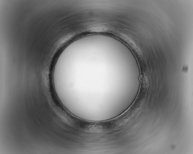 X0000102350535200808151753