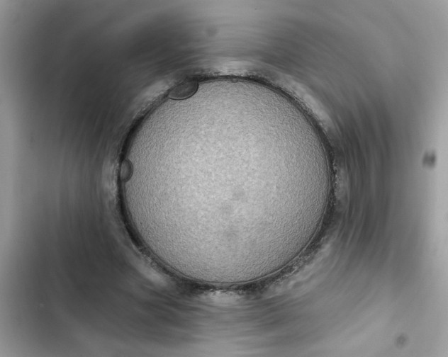 X0000102350537200808151753