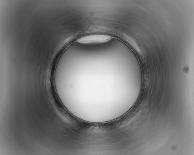 X0000102350538200808151753