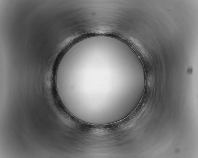 X0000102350540200808151753