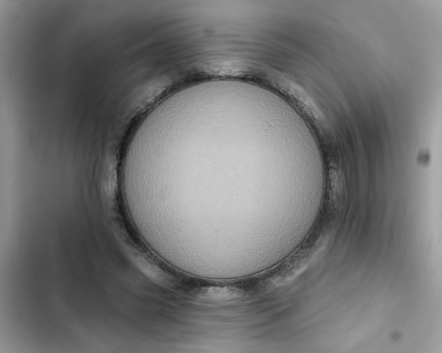 X0000102350541200808151753