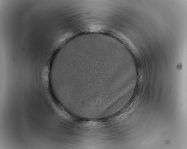 X0000102350542200808151753