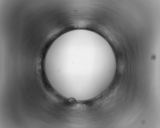 X0000102350543200808151753