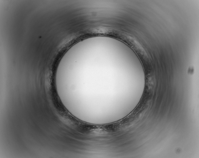 X0000102350544200808151753