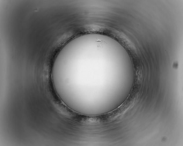 X0000102350546200808151753