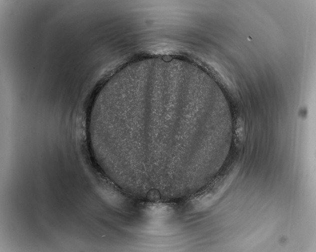 X0000102350547200808151753