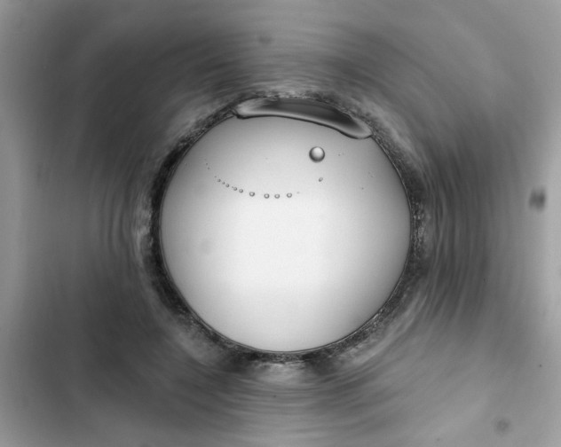 X0000102350548200808151753