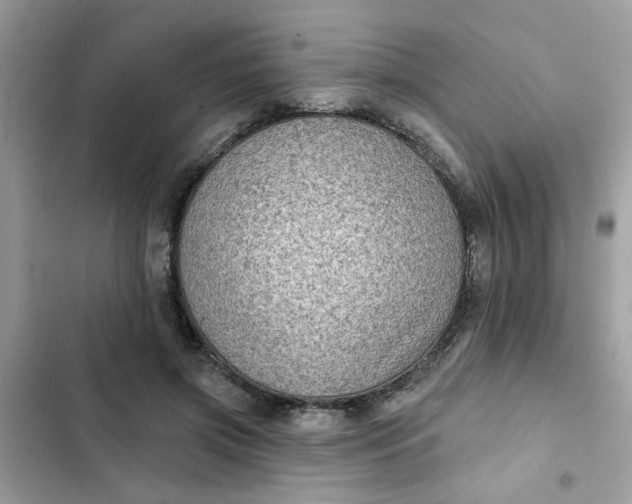 X0000102350549200808151753