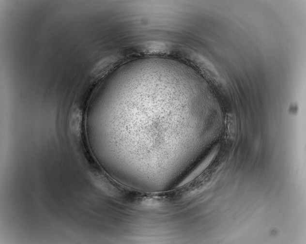 X0000102350550200808151753