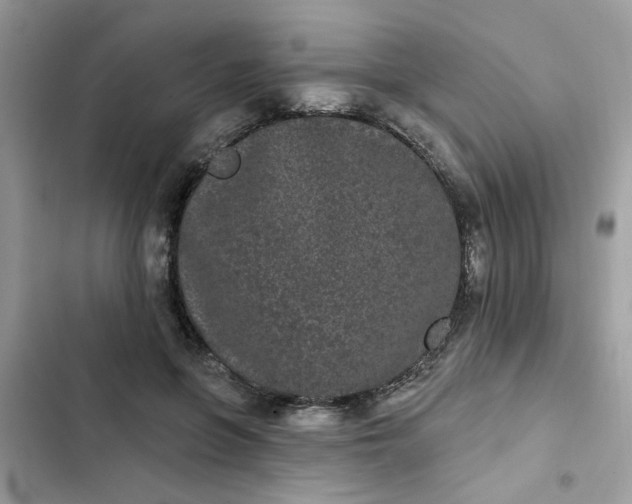 X0000102350551200808151753