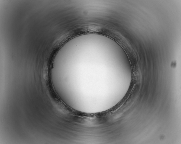 X0000102350552200808151753