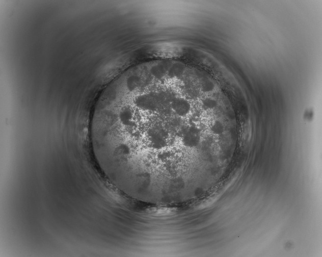 X0000102350553200808151753