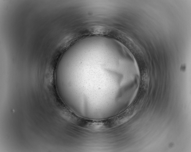 X0000102350554200808151753