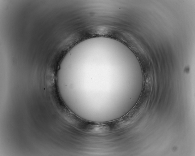 X0000102350555200808151753