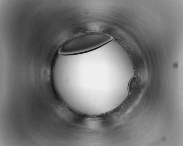 X0000102350556200808151753