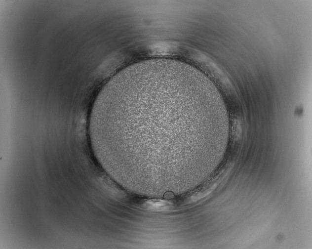 X0000102350557200808151753